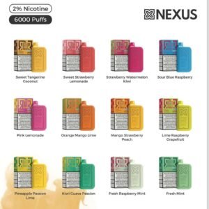 PodSalt Nexus Disposable 6000 Puffs